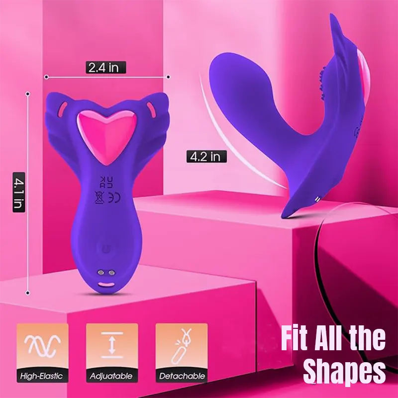 App-Controlled Wearable Panty Vibrator